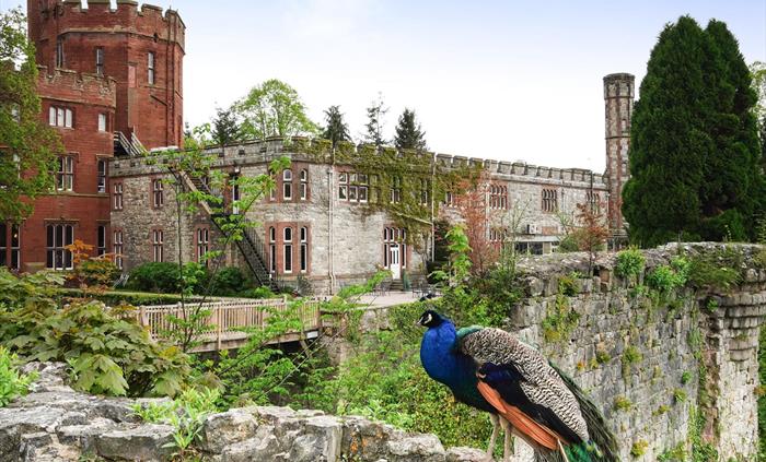 Ruthin Castle Hotel & Spa